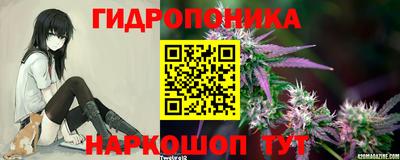 амф Заволжье